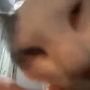 ˚ ༘ . ˚𝓯𝓻𝓲𝓮𝓷𝓭𝓼𝓱𝓲𝓹୭. Discord Server Icon