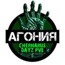 Агония | Чернорусь PVE.ru Discord Server Icon