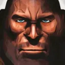 server po timfortris2
