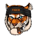 red tyger crypto