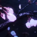 Sohen | Gaming・Anime・Music・Chill