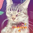 𝓯𝓻𝓮𝓪𝓴𝔂 meow Discord Server Icon