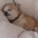 你爹的伺服器