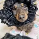 ちゃんとしたさーばー