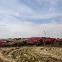 SHULEI的服务器