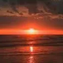 Shit Ballers Discord Server Icon