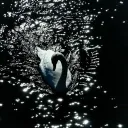 /onset Discord Server