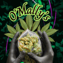 O-O-O O'Mally's VC Chat 21+!