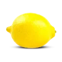 The Lemon Lounge