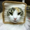 Crumb Jar