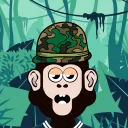 Cool Ape Social Club's server