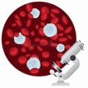 Hematology Official Server Discord Server Icon