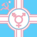 trans chaos server (real) no w... Discord Server Icon