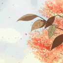 Animu