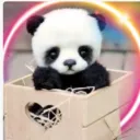 𝑎𝑛𝑔𝑒𝑙'𝑠 𝑤𝑜𝑟𝑙𝑑 🖤🧸