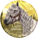 Light Warriors OS