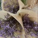 Querencia | A GI HighSchool Au... Discord Server Icon