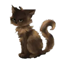 NINI's Portfolio