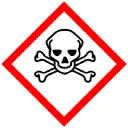 TOXICサーバー