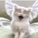 Bepis’s Kingdom Discord Server Icon