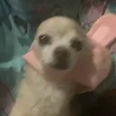 .com Discord Server Icon