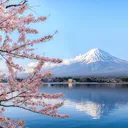 Japonic Linguistics