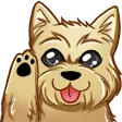 Yappy Dog Brigade