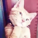 nukedbysabrina Discord Server Icon