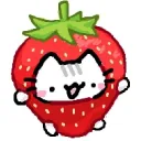 Cattos Discord Server Icon