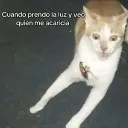 Servidor Abandonado => Nos mudamos