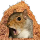 The Haystack