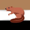 🦫ZRB-Związek Republiki Bobra🦫