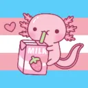 🌸Trans Axolotls🌸