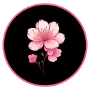 Sakura Female CDL