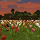 poppy fields <3