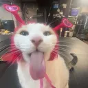 Aki es Vivi szervere <3