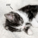 reverie Discord server icon