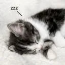 reverie Discord Server Icon