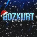 Bozkurt EMEK