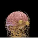 Cream Team Discord Server Icon