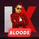 IX RP・BLOODS