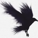 Black bird Games