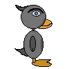 Ducky: The Long Way Home