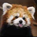 레써 거주서버