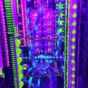 Jade=)'s server roblox