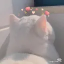 湘bae (◍•ᴗ•◍)✧*。