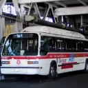 ｡ﾟ໒🌈ദ〃♡ Maya ★ Moltisanti’s  Fun House ꔛ˚ Discord server icon