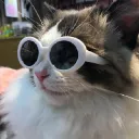cool people club