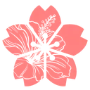 Asian Pacific Islander AJET