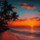 ⋅ʚ 𝐊𝐲𝐨𝐭𝐨 ɞ⋅🌺